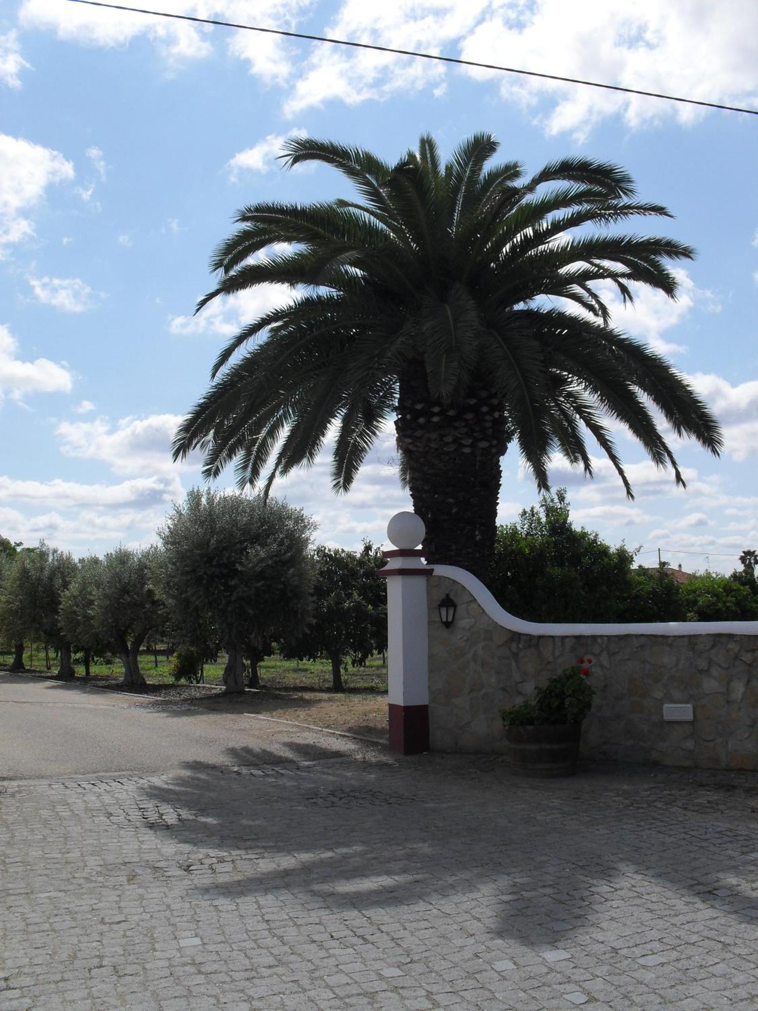Отель Terras De Monsaraz Регенгуш-ди-Монсараш Экстерьер фото